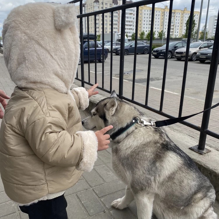 Personalized Toddler Lovely Bear Winter Warm Plush Hooded Jacket | CWBaby360