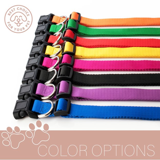 Personalized Embroidered Pet Collar for Funny & Unique | BKPet37