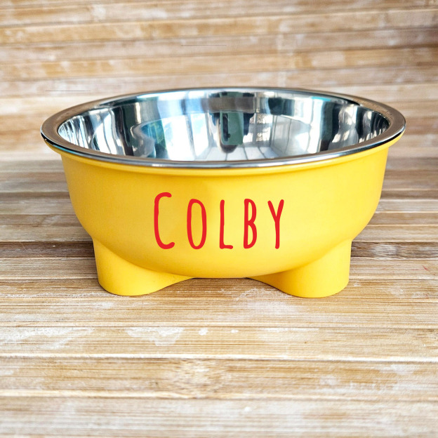 Personalized Stainless Steel Pet Food Bowl  | BKPet64