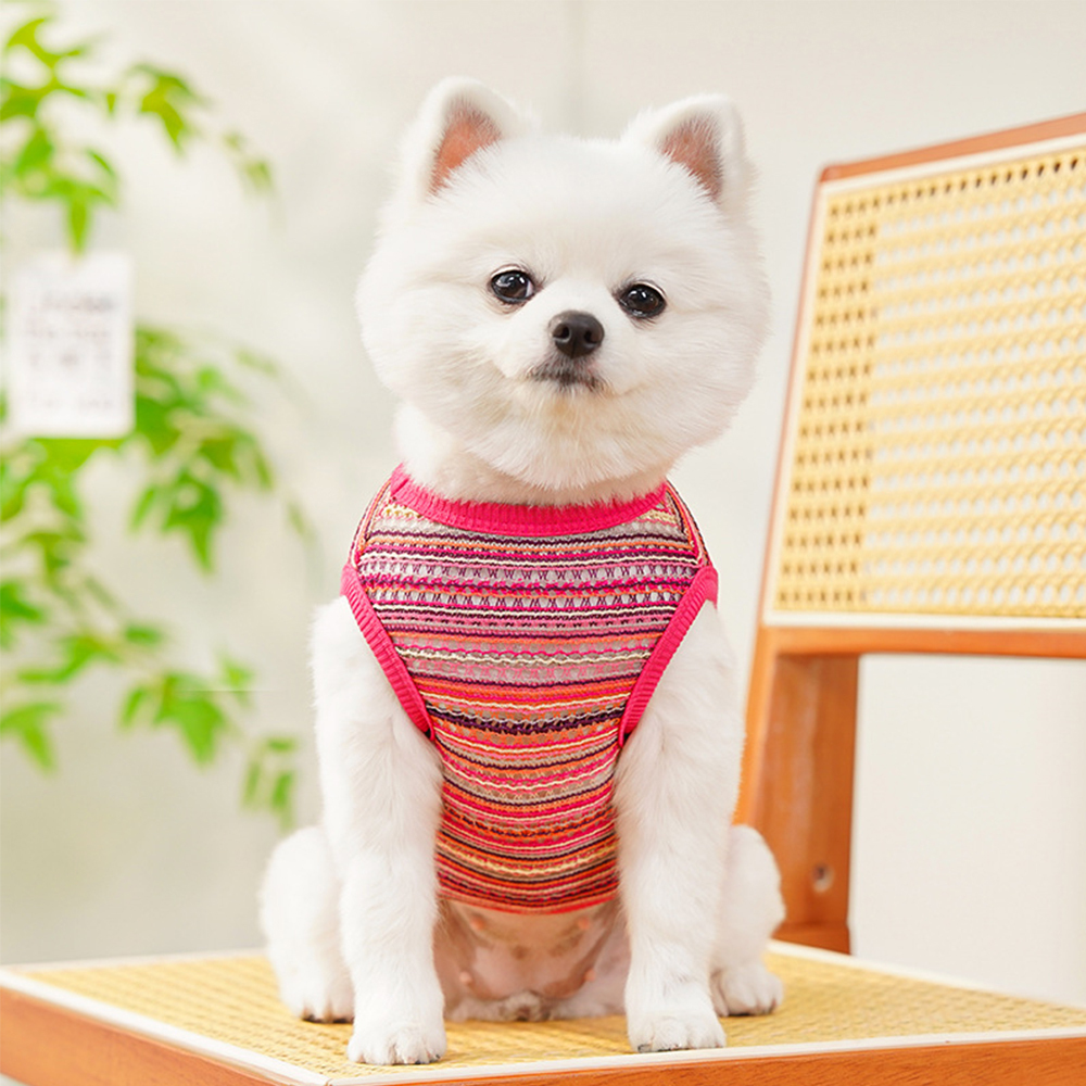 Personalized Breathable Pet Summer Cool Mesh Vest | BKPet191