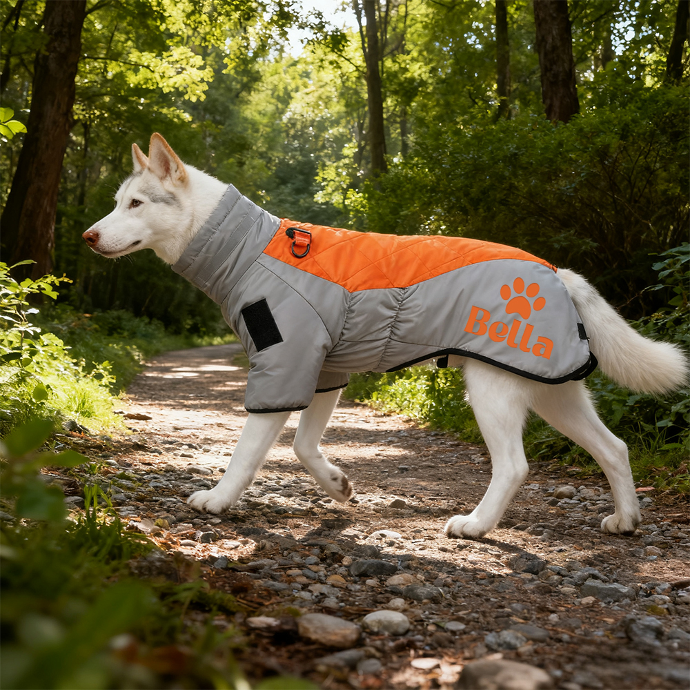 Personalized Pet Winter Warm Windproof Large Puffer Jacket | BKPet281