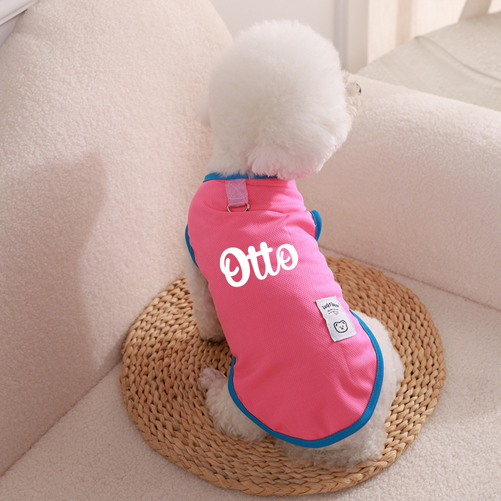 Personalized Colourful Pet Summer Cool Mesh Vest | BKPet173