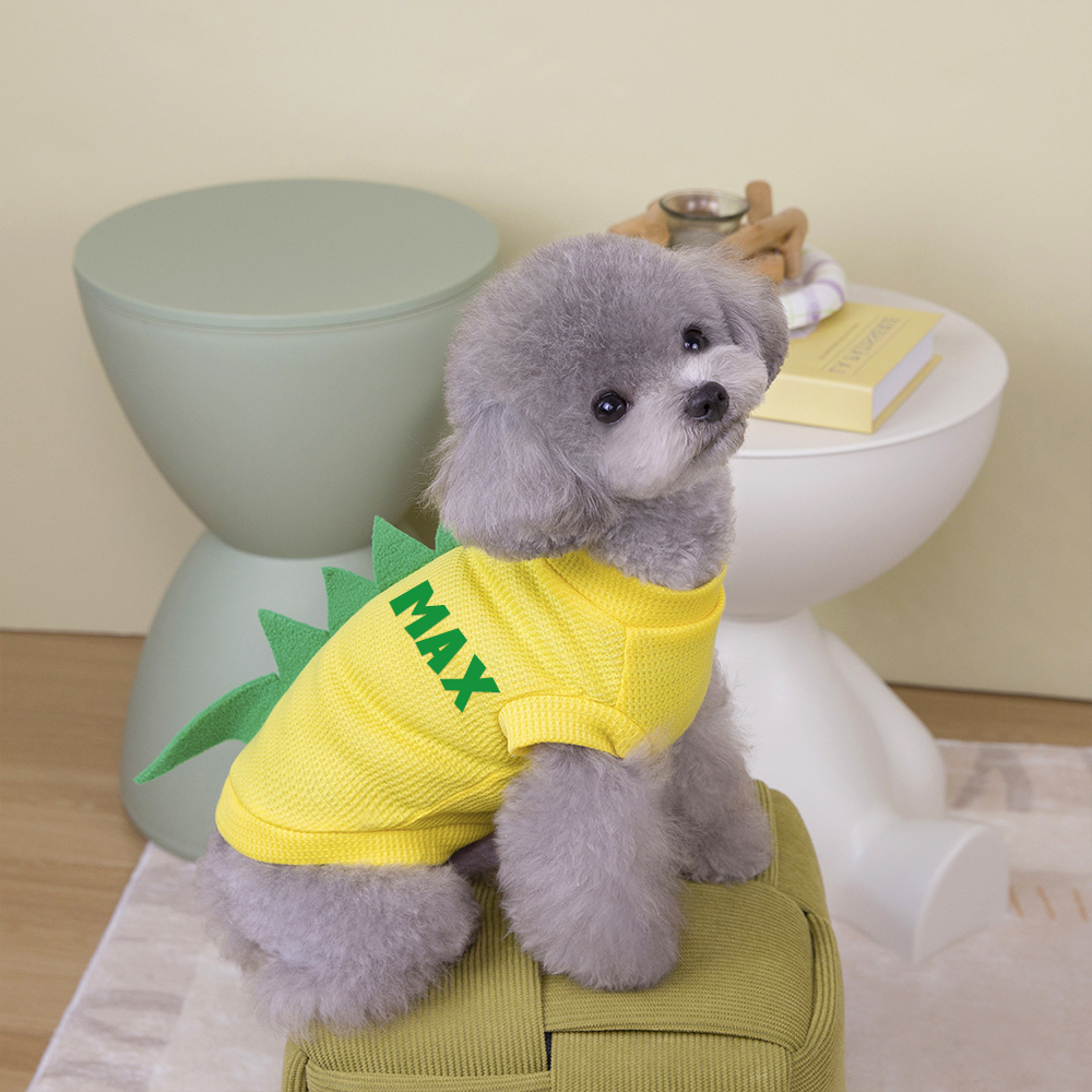 Personalized Pet Summer Lovely Dinosaur Shirt | BKPet179