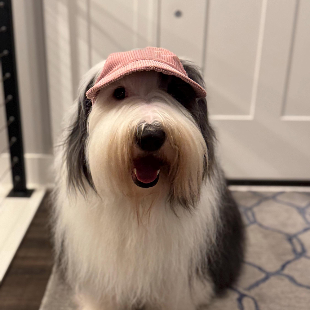 Personalized Corduroy Adjustable Pet Pet Baseball Cap | BKPet184