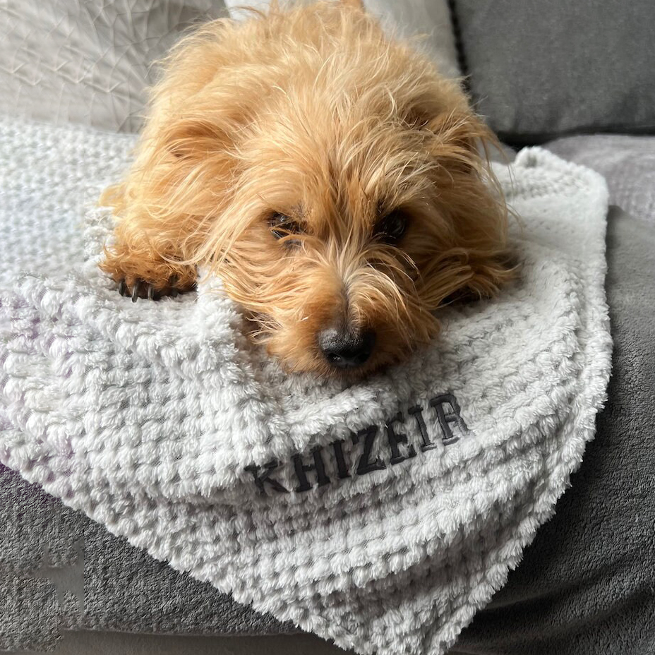 Personalized Embroidered Pet Soft Waffle Blanket | BKPet197