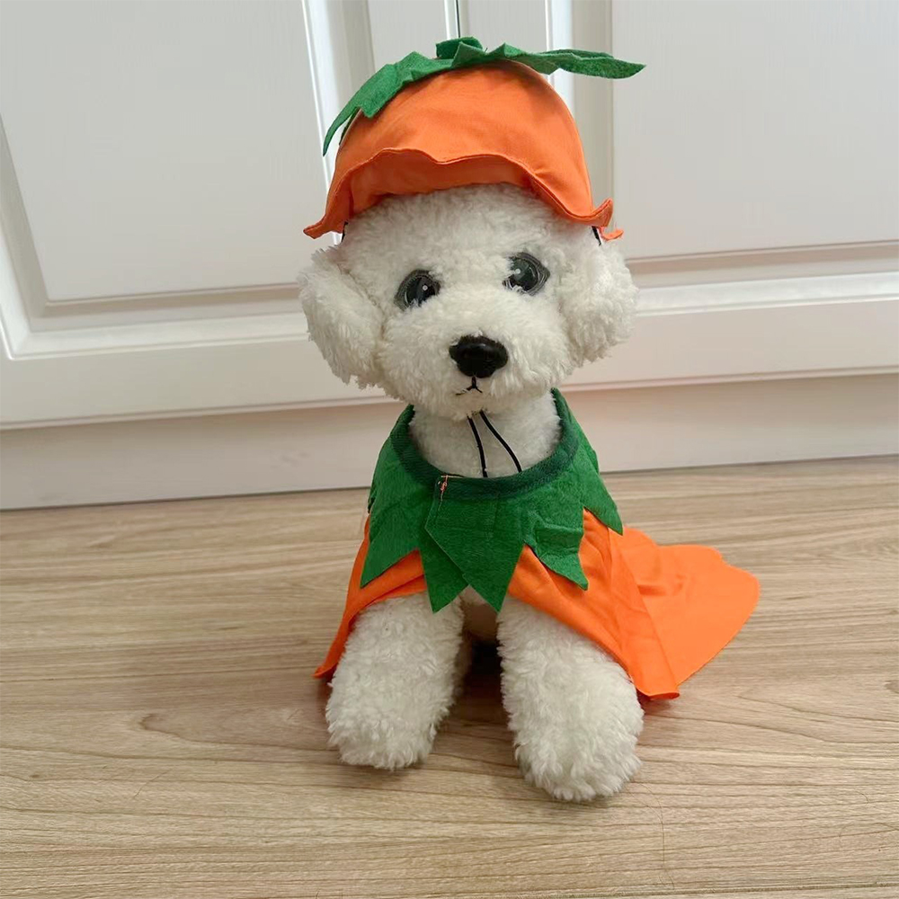 Personalized Halloween Funny Pumpkin Pet Costume | CWHalloween65