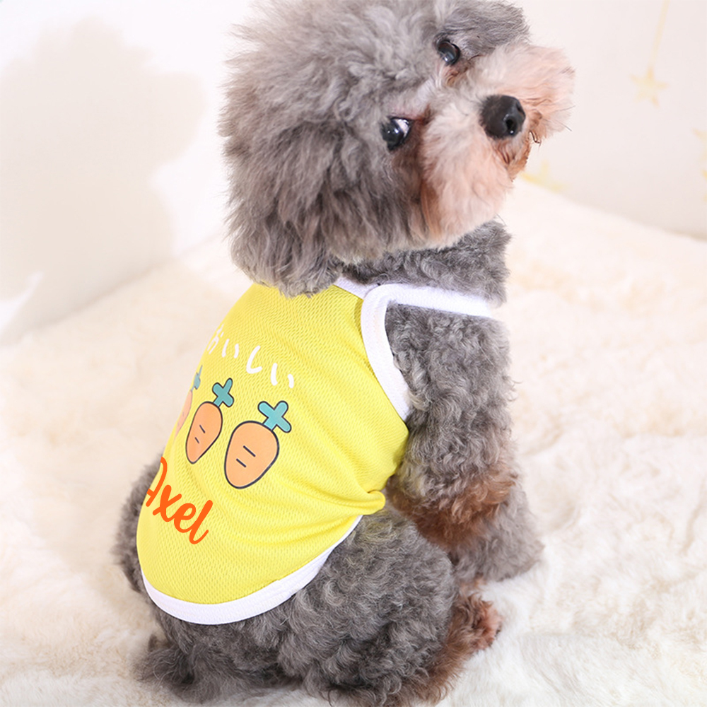 Personalized Cute Breathable Pet Summer Cool Mesh Vest | BKPet205