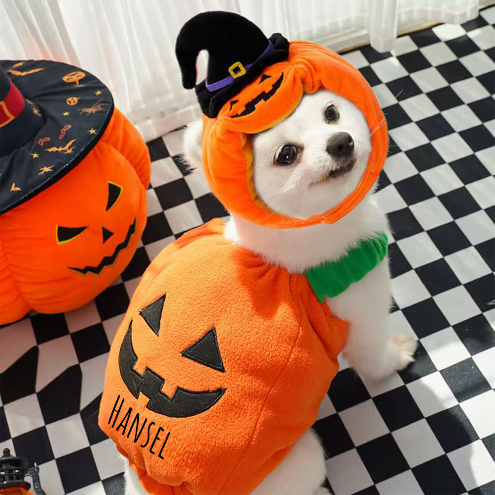 Personalized Halloween Funny Pumpkin Pet Costume | CWHalloween66