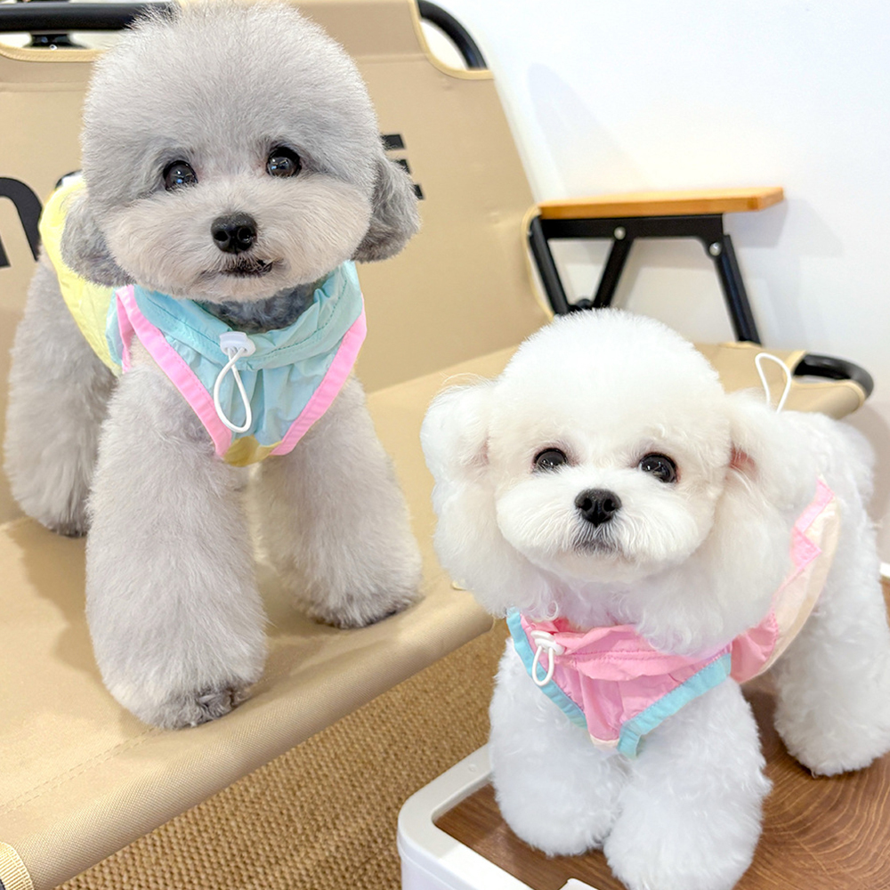 Personalized Cute Color Block Pet Summer Hoodie | BKPet207