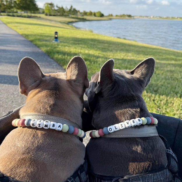 Personalized Handmade Beaded Adjustable Buckle Dog Collar | BKPet221