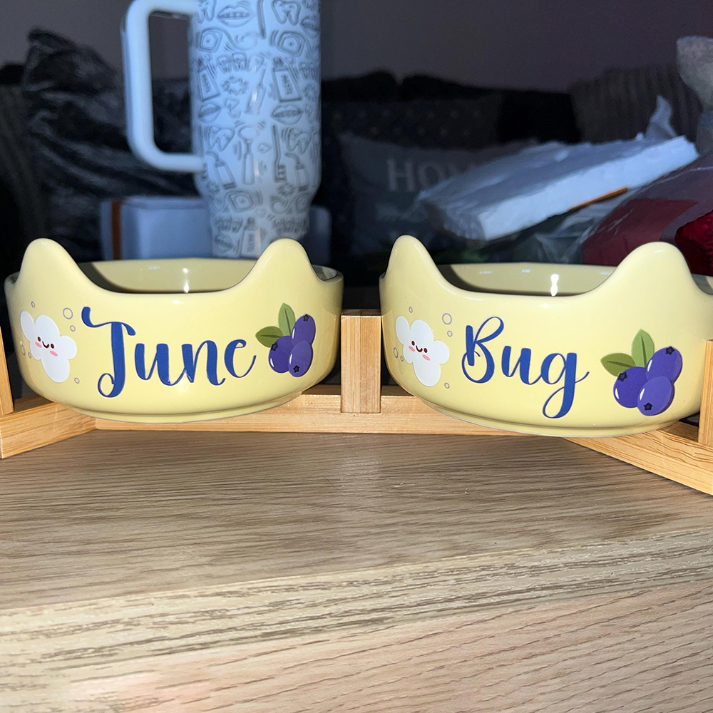 Personalized Pet Ceramic Food Dish with Ears Bowl | BKPet259