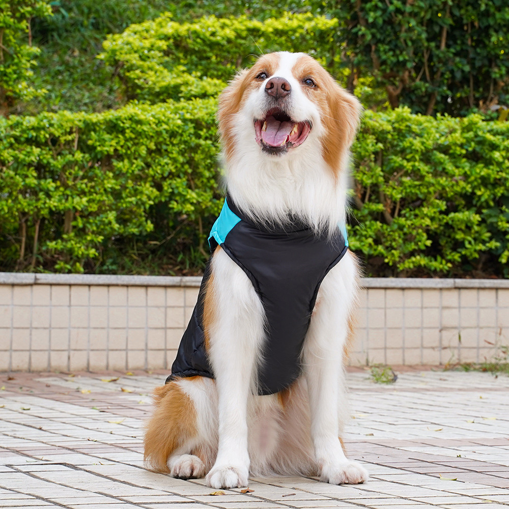 Personalized Pets Warm Puffer Vest | BKPet14701