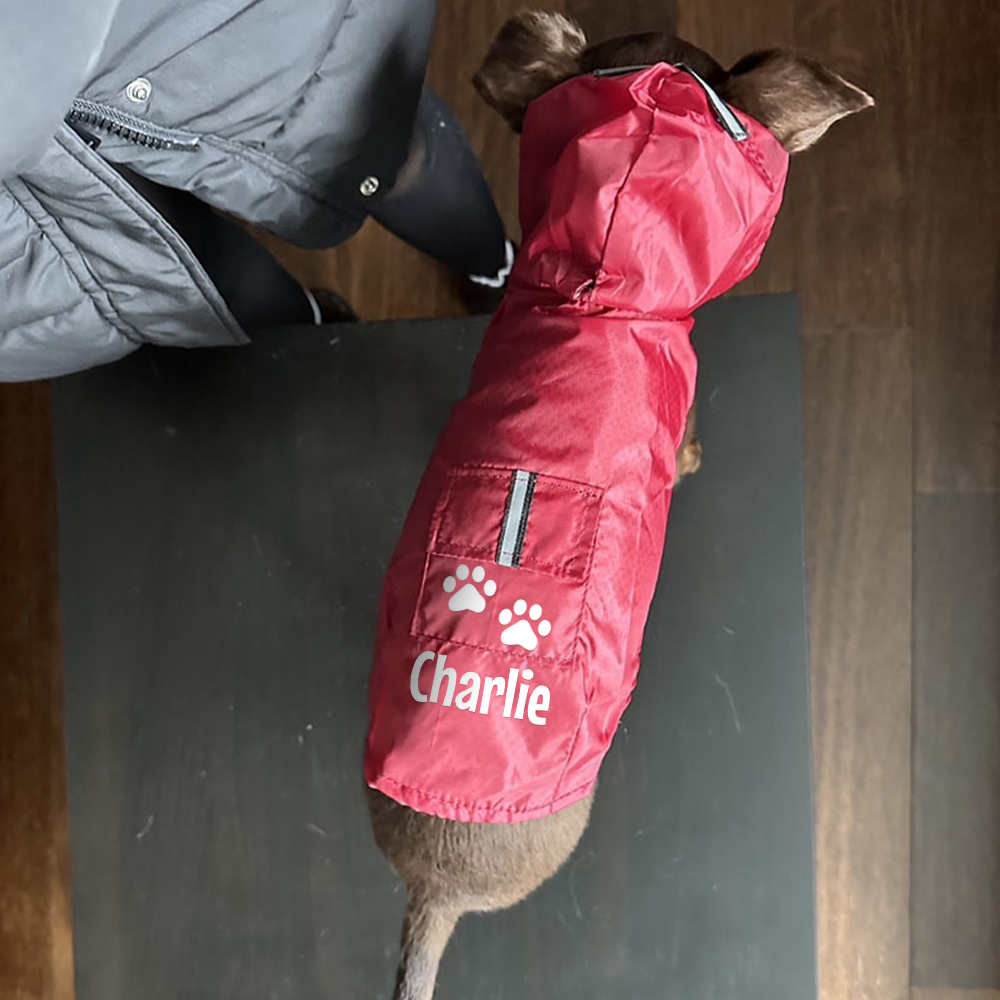 Personalized Pets Waterproof and Reflective Raincoat | BKPet270