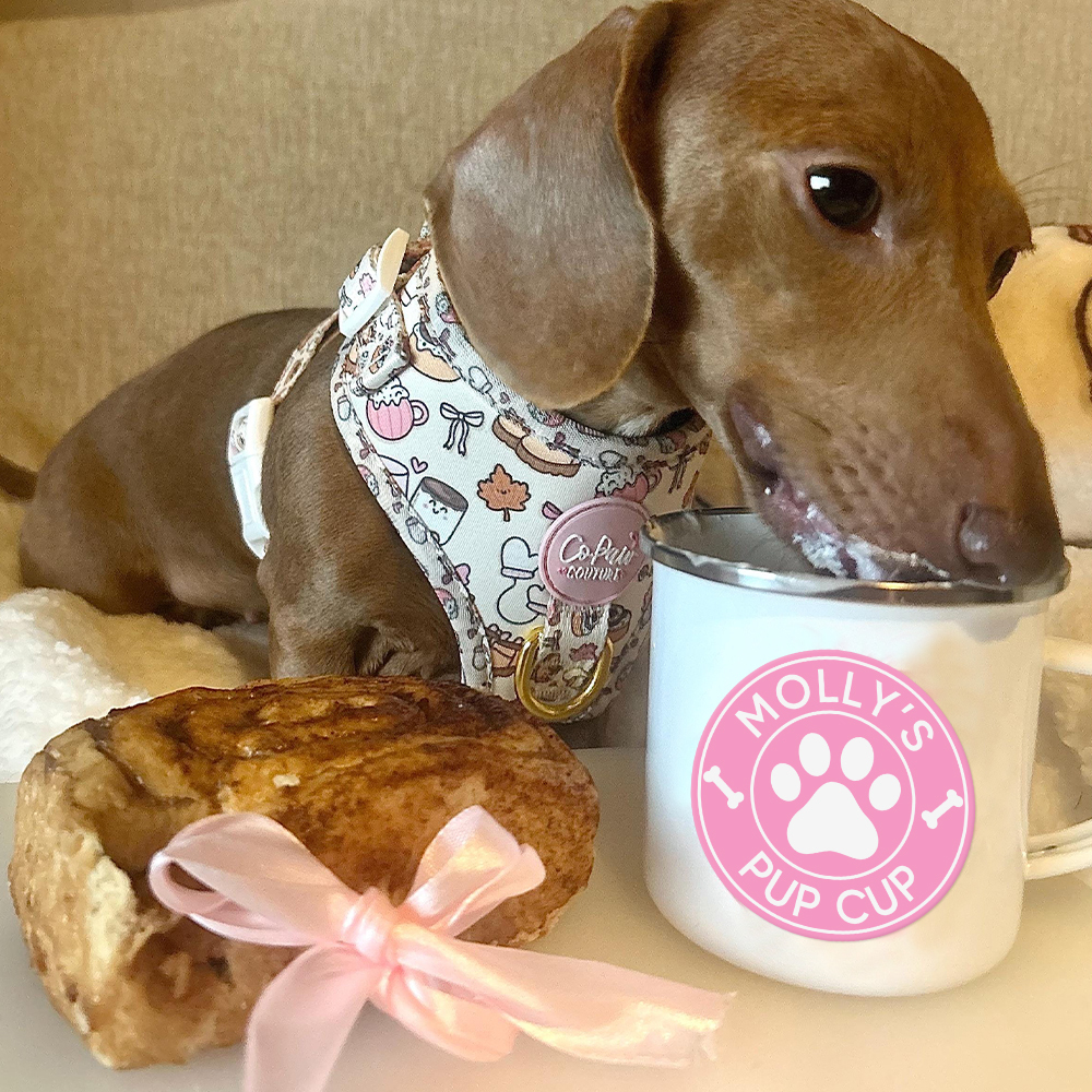 Personalised 12oz Pet Enamel Reusable Pup Cup Mug | BKPet280