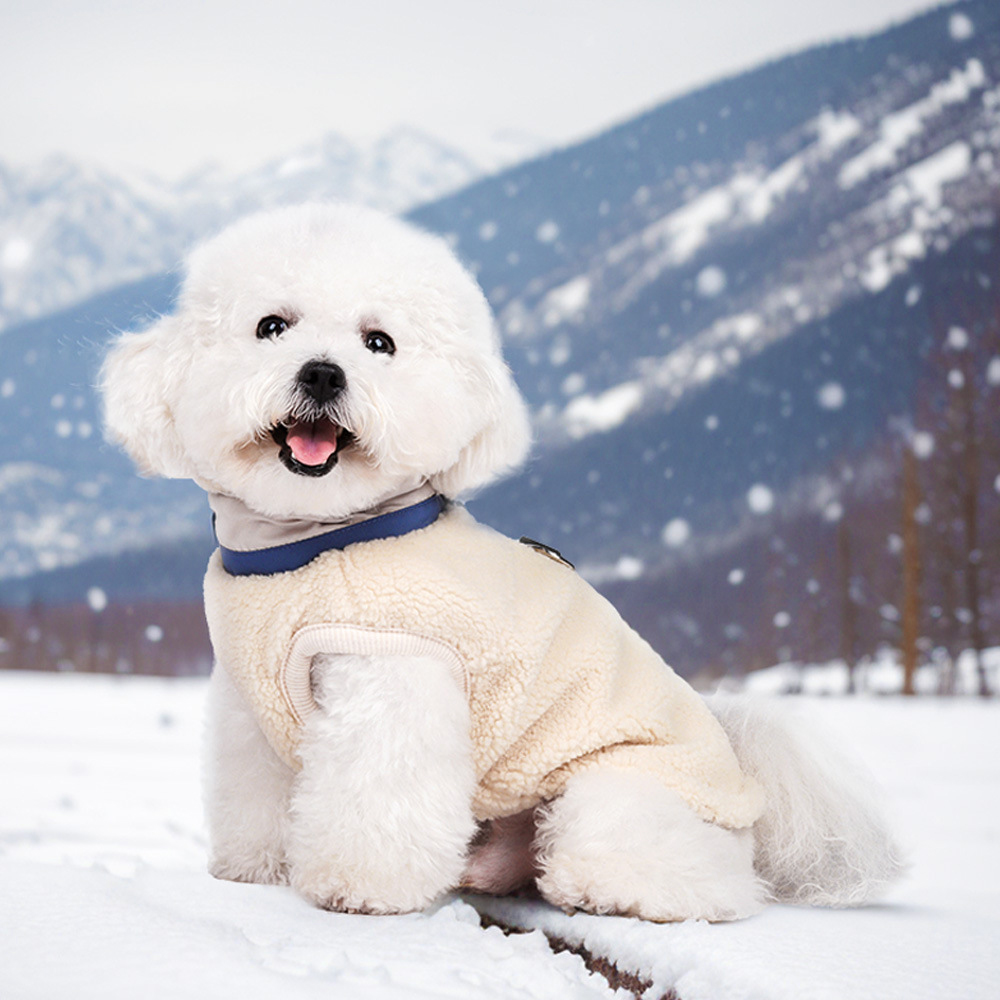 Personalized Leather Patch Pets Color Sweatshirts | BKPet275
