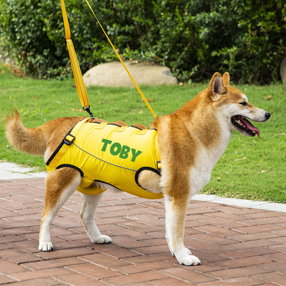 Personalized Adjustable Pet Lifting Harness Breathable Full Body Support | BKPet309