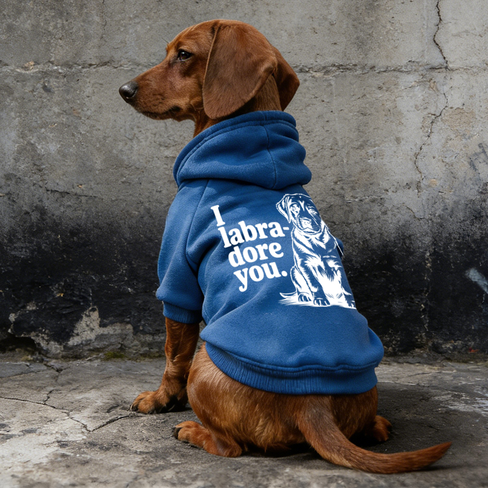 I Iabra dore you Puppy Hoodie | BKPet315