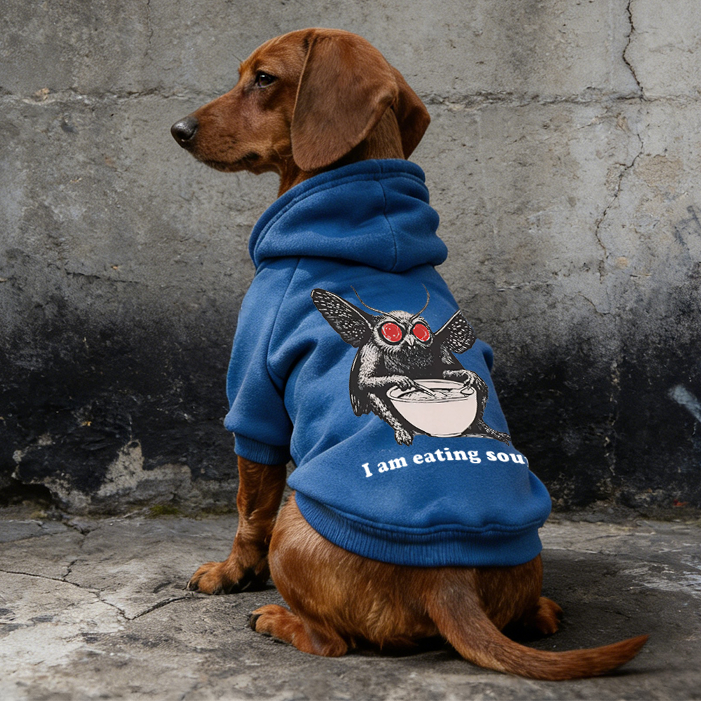 I Am Eating Soup Puppy Hoodie | BKPet318