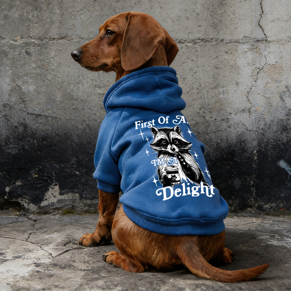 FIRST OF ALL I'M A DELIGHT Puppy Hoodie | BKPet321