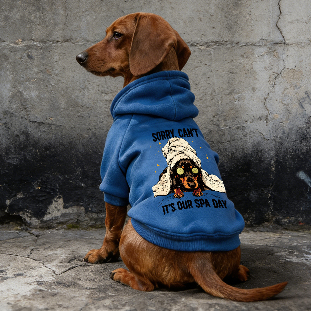 IT'S OUR SPA DAY Puppy Hoodie | BKPet339