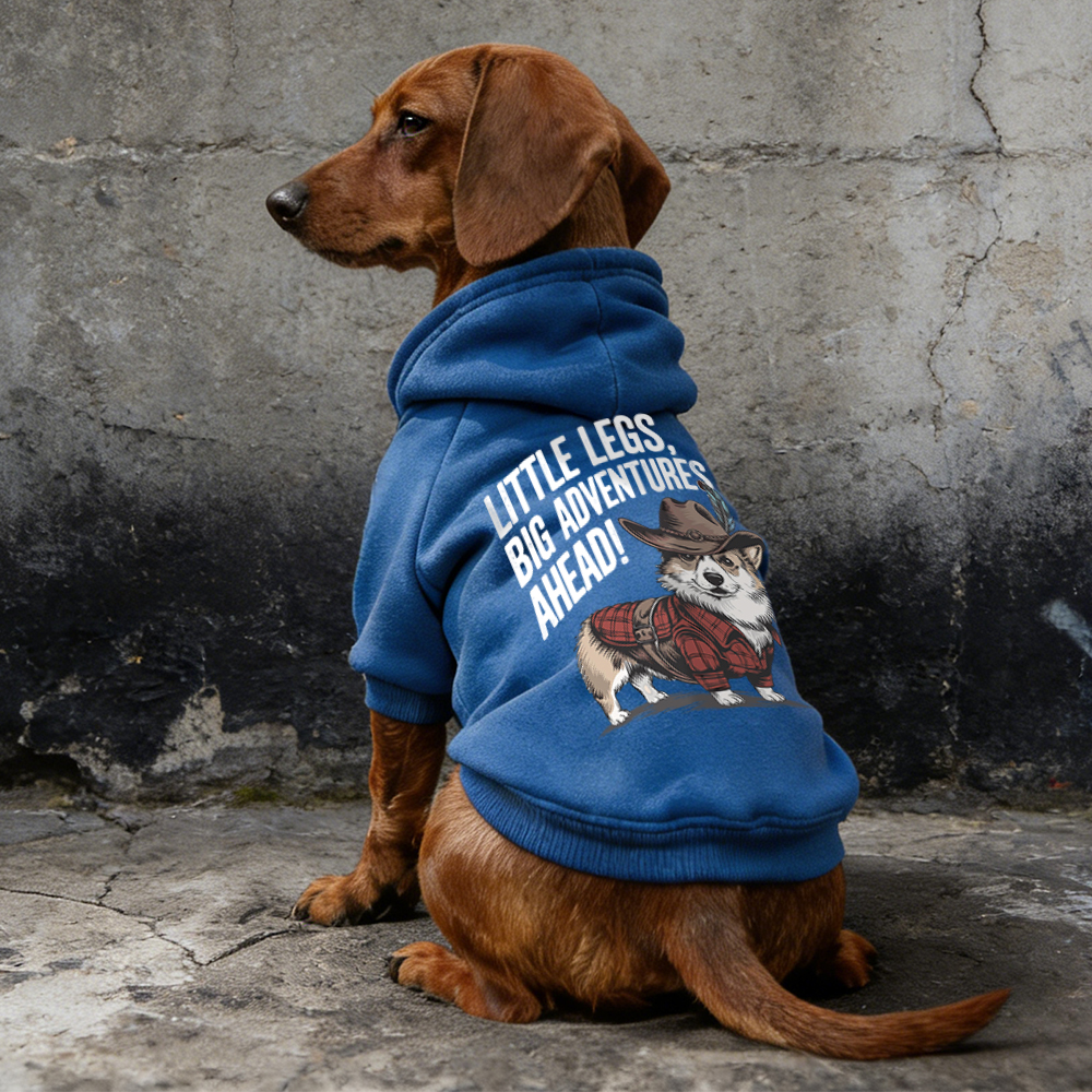 LITTLE LEGS BIG ADVENTURES AHEAD Puppy Hoodie | BKPet341