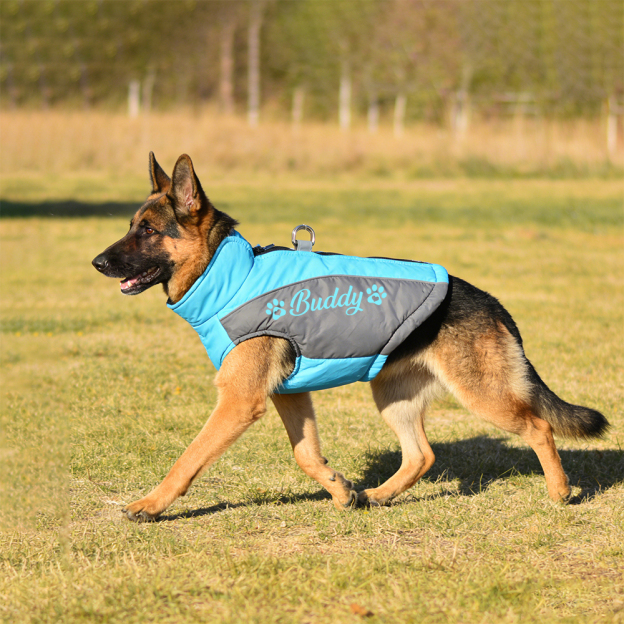 Personalized Pet Winter Warm Windproof Puffer Jacket | BKPet349