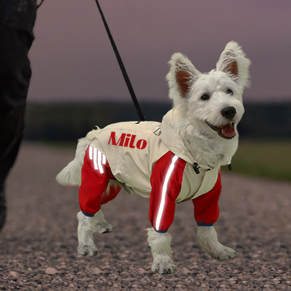 Personalized Pet Waterproof Raincoat with Hood | BKPet366