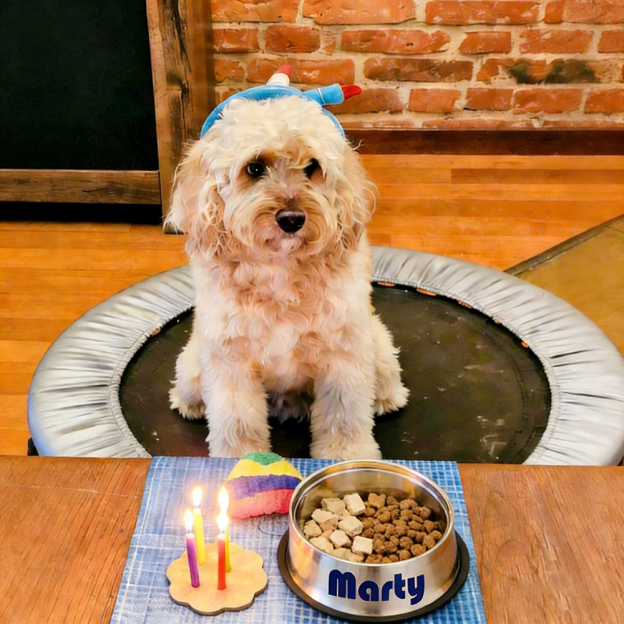 Personalized Pet Stainless Steel Anti-slip Food Bowl | BKPet367