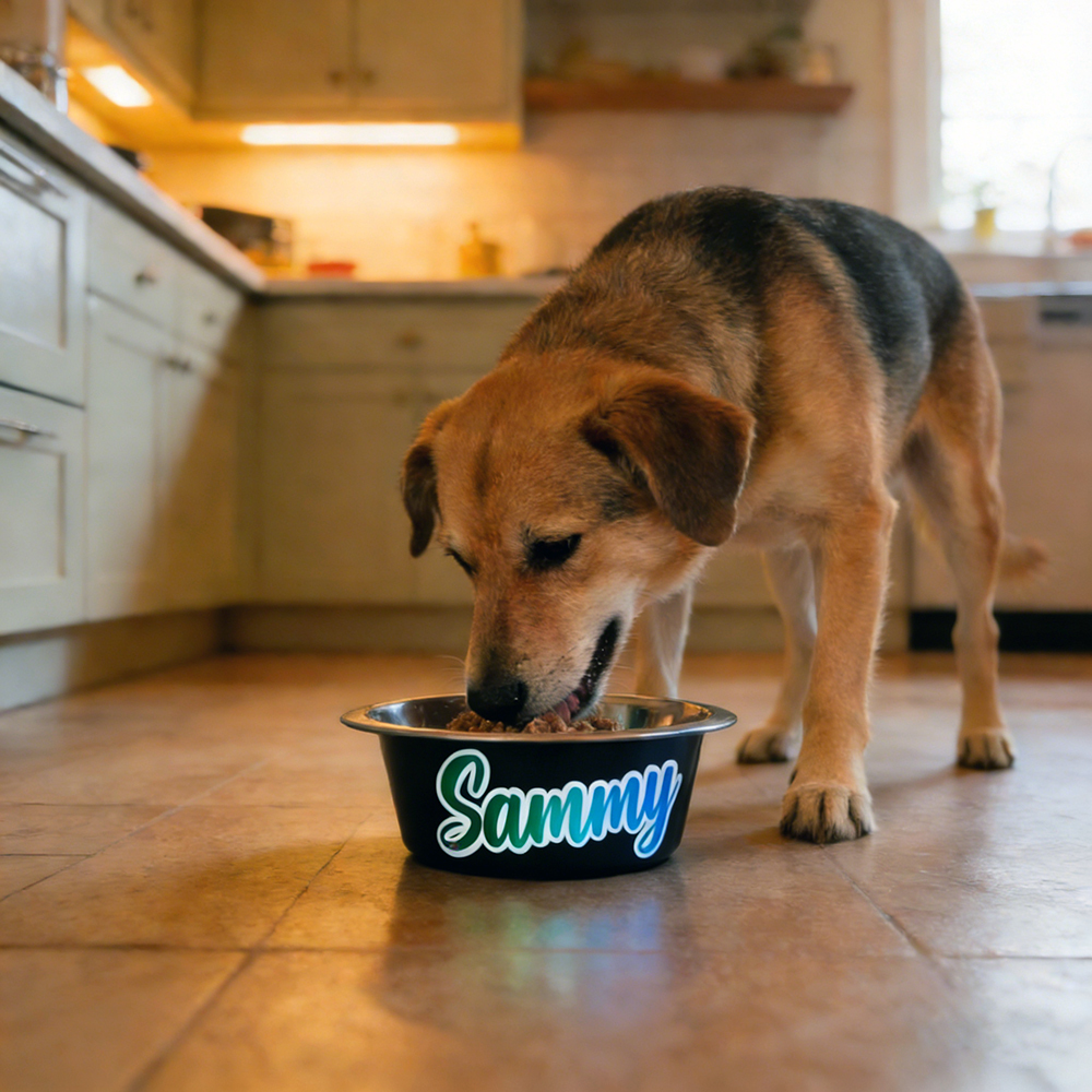 Personalized Pet Stainless Steel Anti-slip Food Bowl | BKPet368