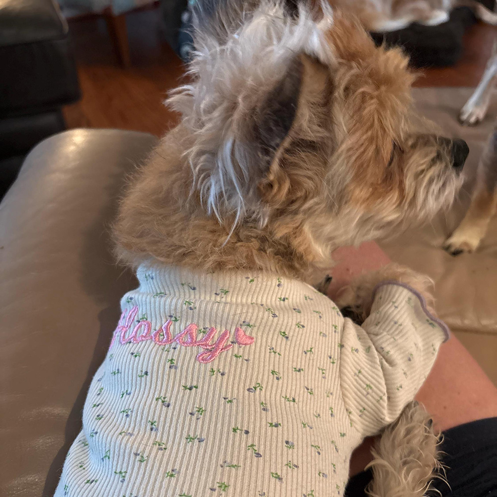 Personalized Embroidery Pet Cozy Cotton Sleepwear Pajamas | BKPet399