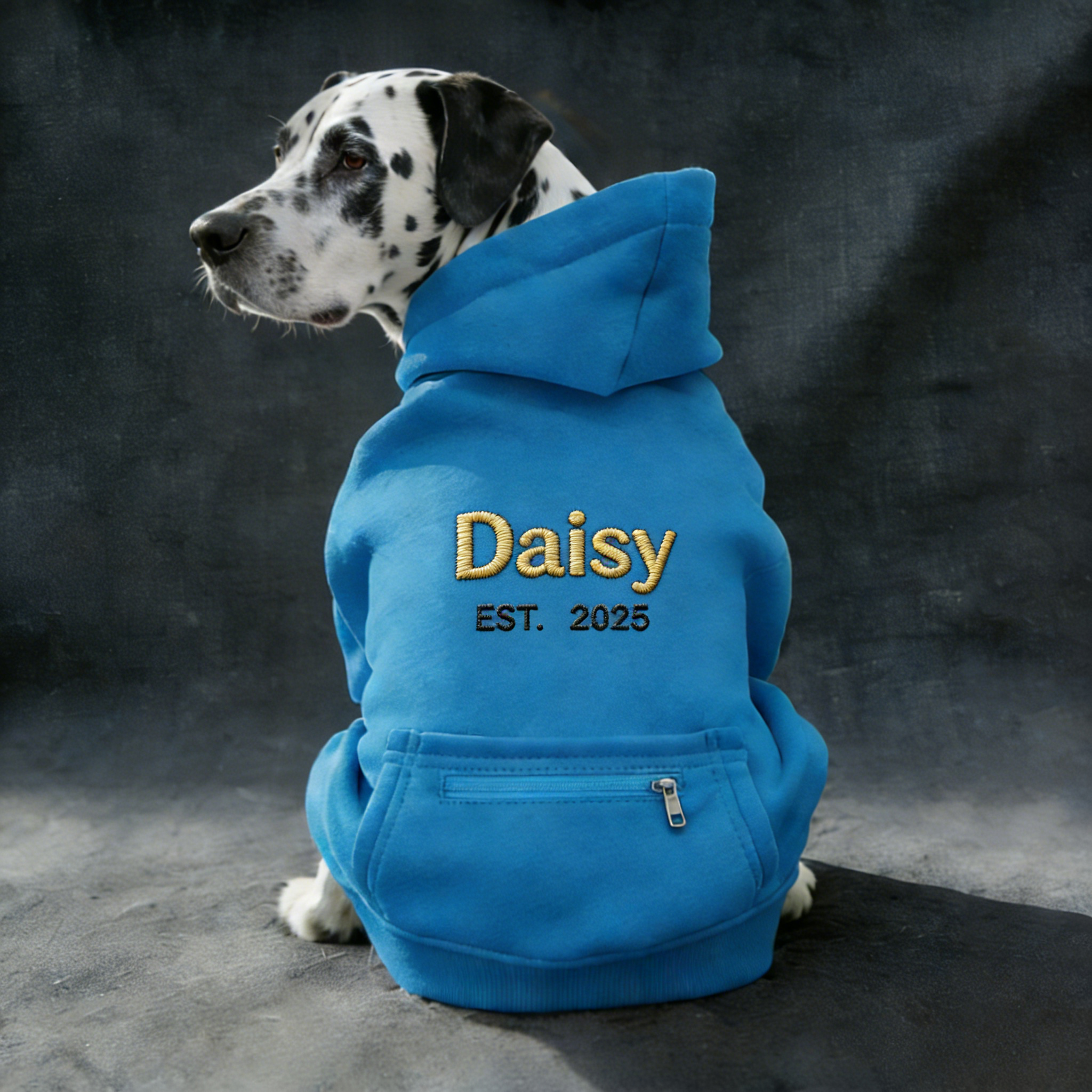 Personalized Embroidered Large Size Puppy Hoodie | BKPet412