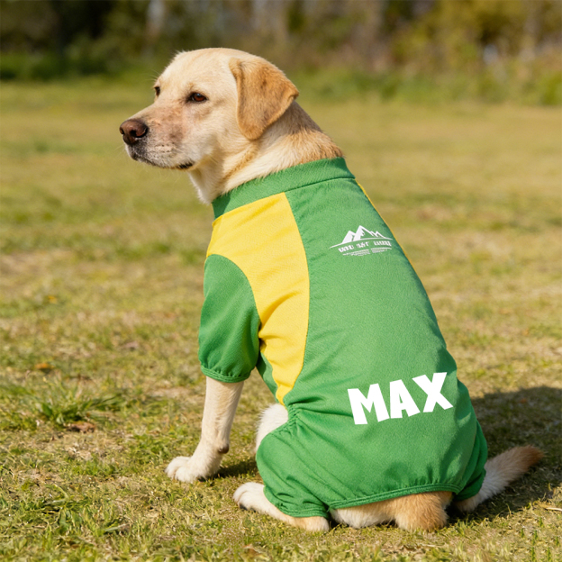 Personalized All-season Large Size  Puppy Shirt | BKPet413