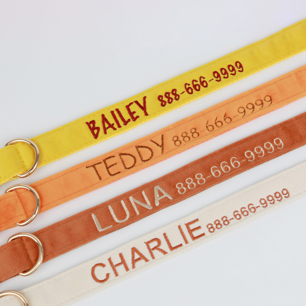 Personalized Embroidered Adjustable Velvet Pet Collar | BKPet425