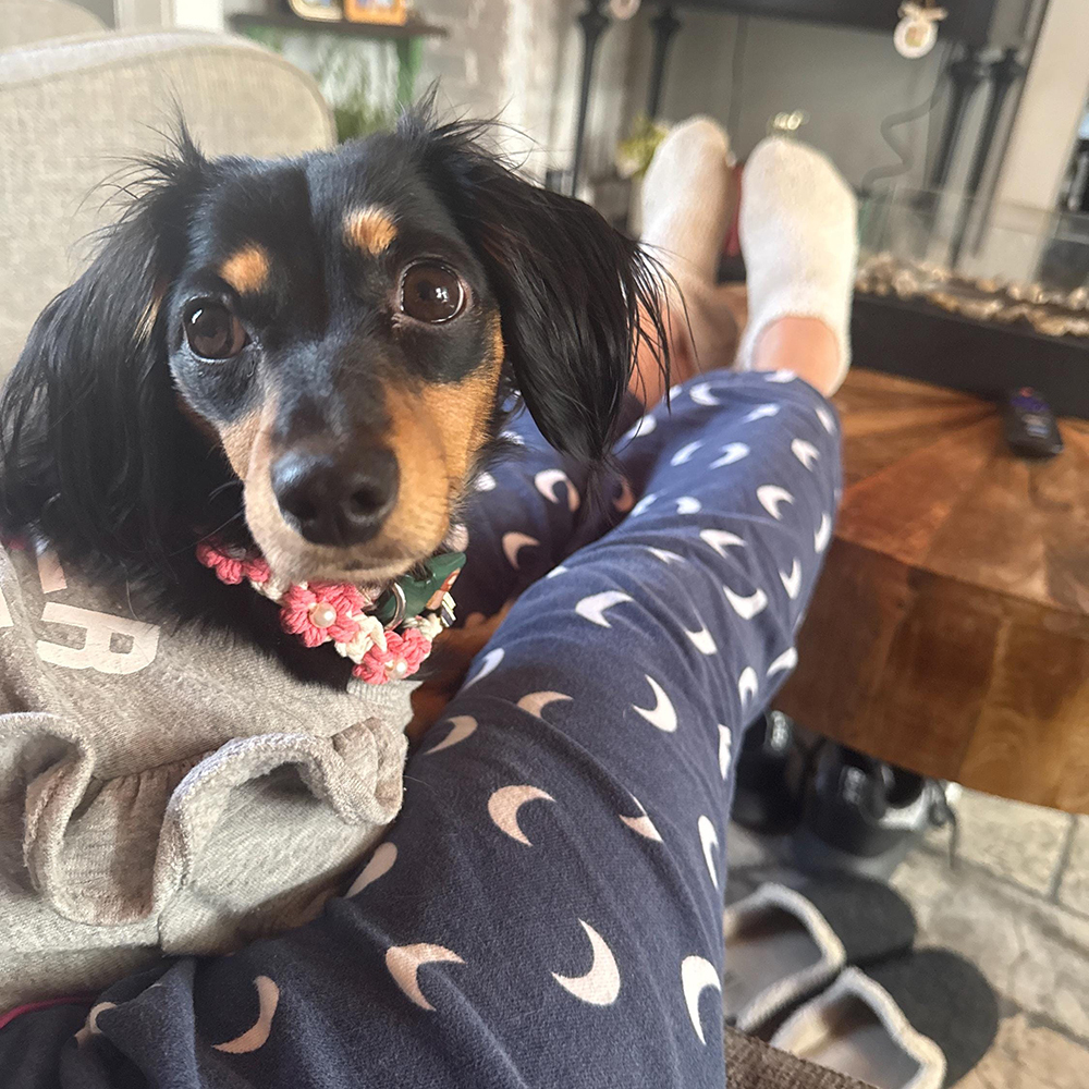 Personalized Handmade Macrame Flowers Pet Collar | BKPet457