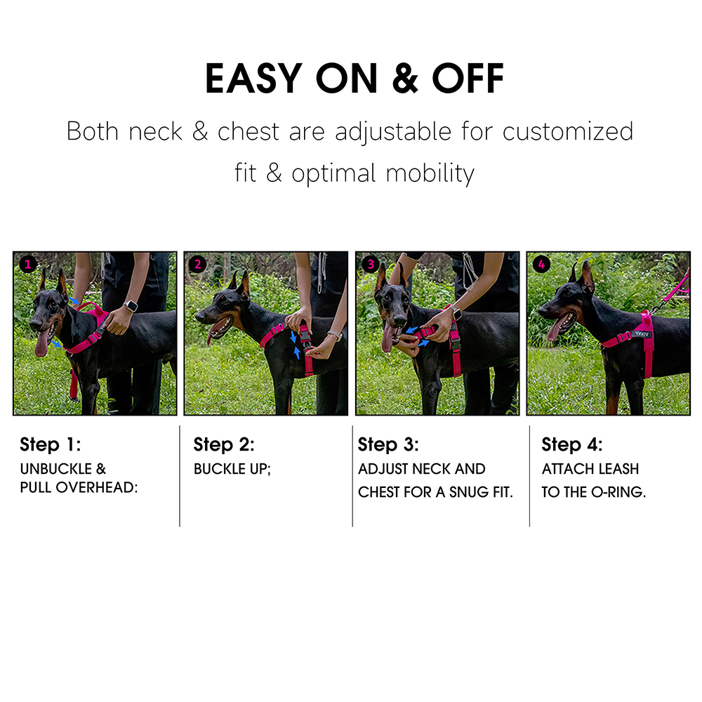 Personalized Embroidered Dog Harness & Leash Set | BKPet462