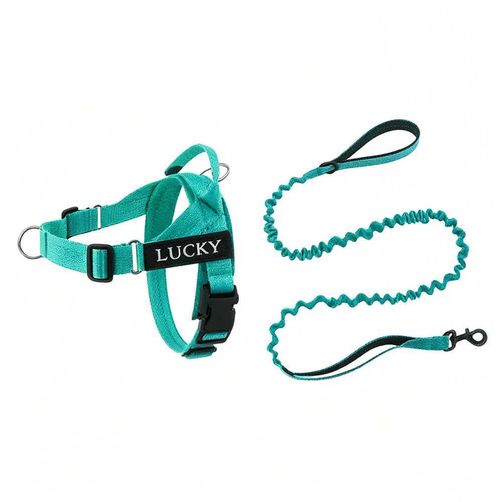 Personalized Embroidered Dog Harness & Leash Set | BKPet462