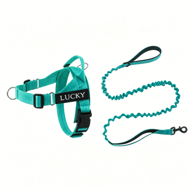 Personalized Embroidered Dog Harness & Leash Set | BKPet462
