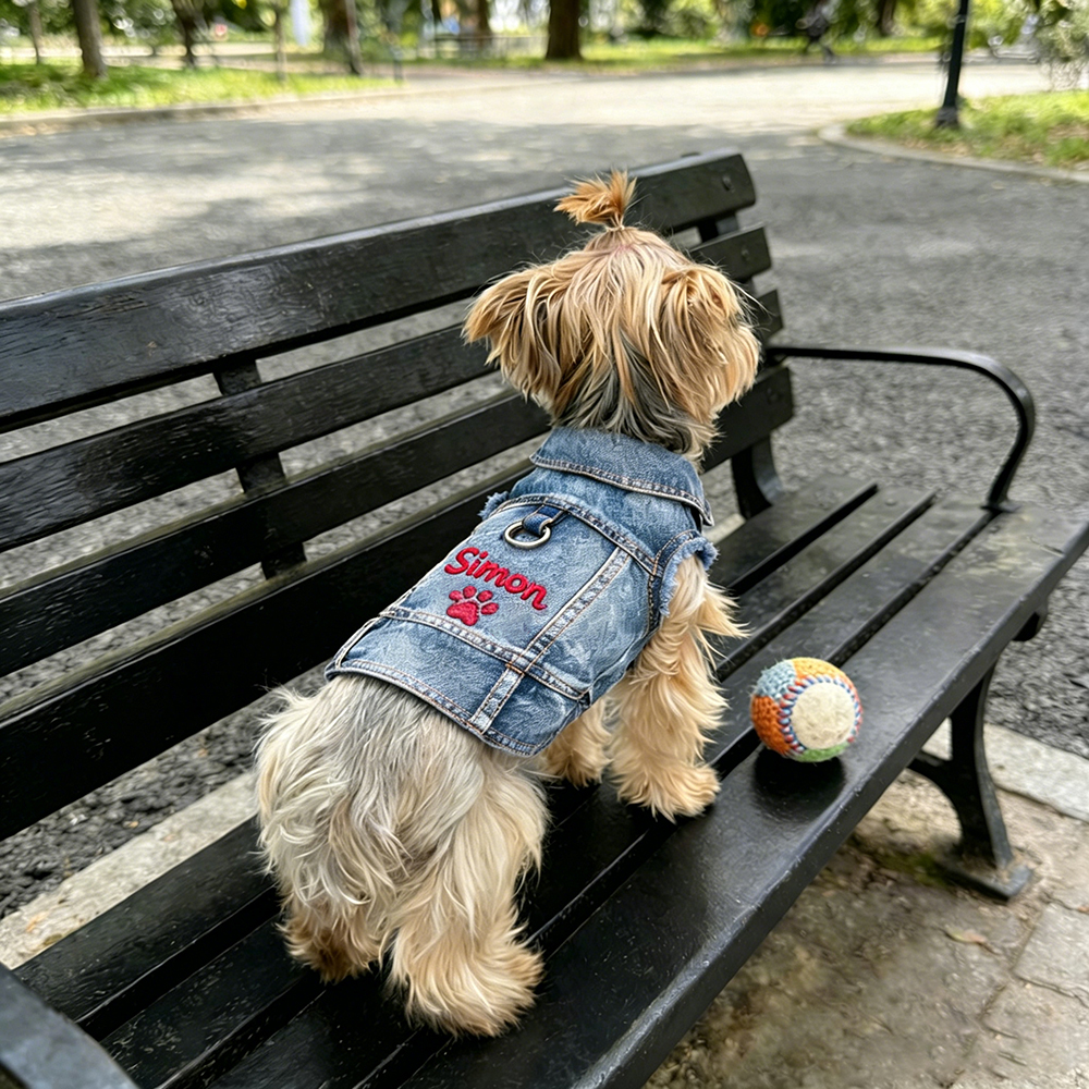 Personalized Embroidered Pet Denim Jacket | BKPet464