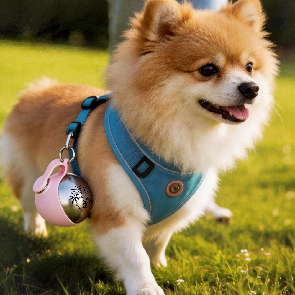 Personalized Spherical Portable Pet Water bottle | BKPet509