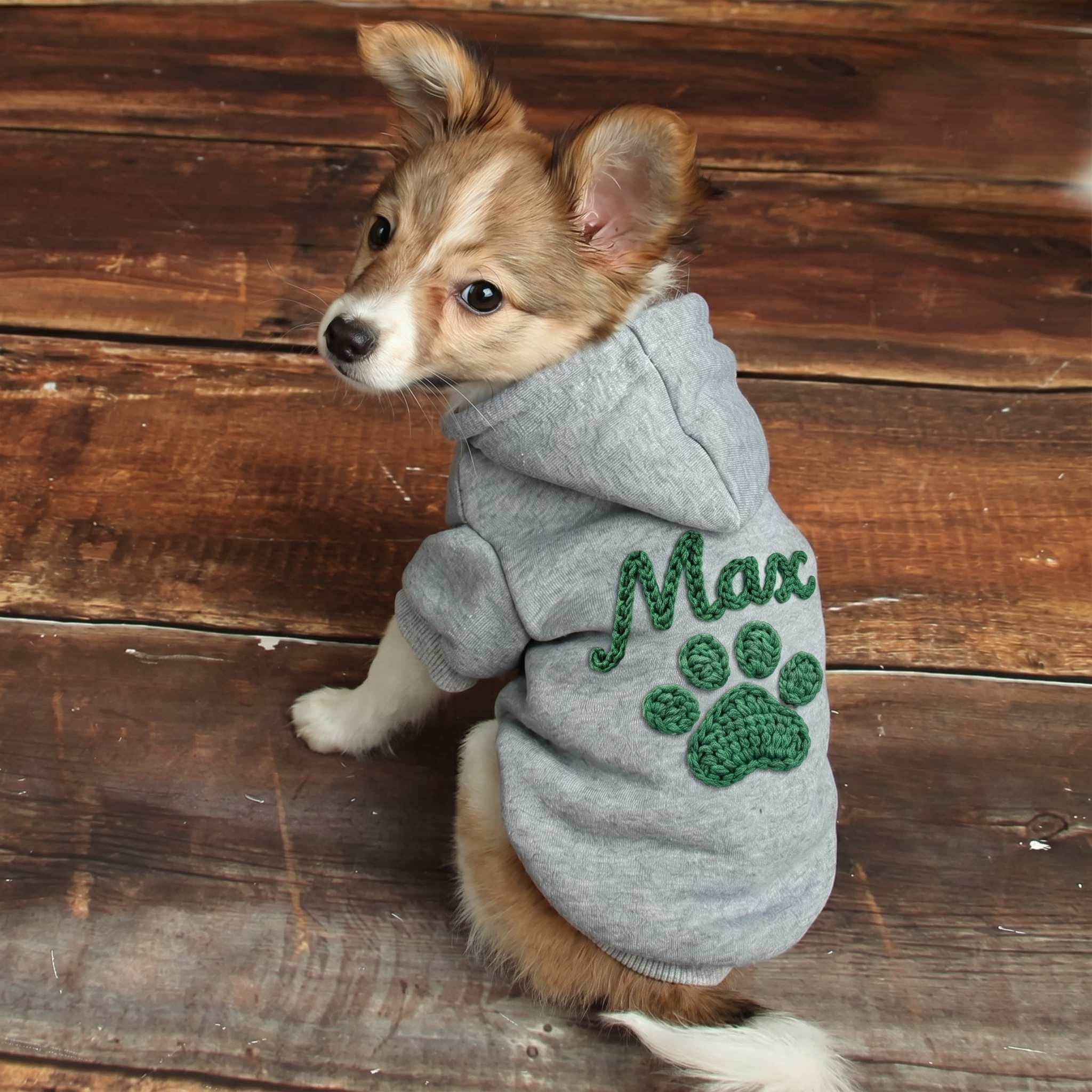 Personalized Hand Embroidery Lovely Paw Large Size Puppy Hoodie | BKPet512