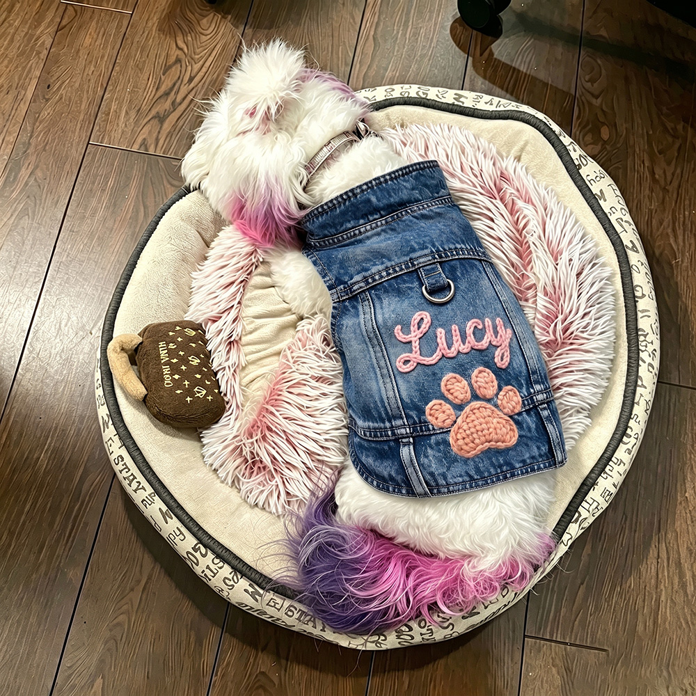Personalized Hand Embroidered Pet Denim Jacket | BKPet542