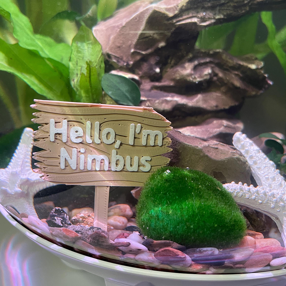 Personalized 3D Printed Forest Sign for Fishtanks | CWGift92