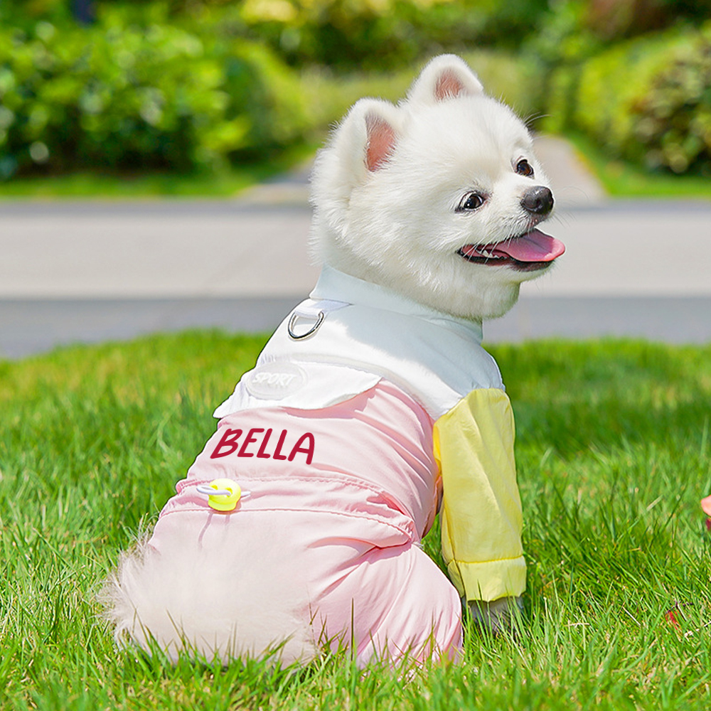 Personalized Pet Summer Cool And Breathable Shirt | BKPet563