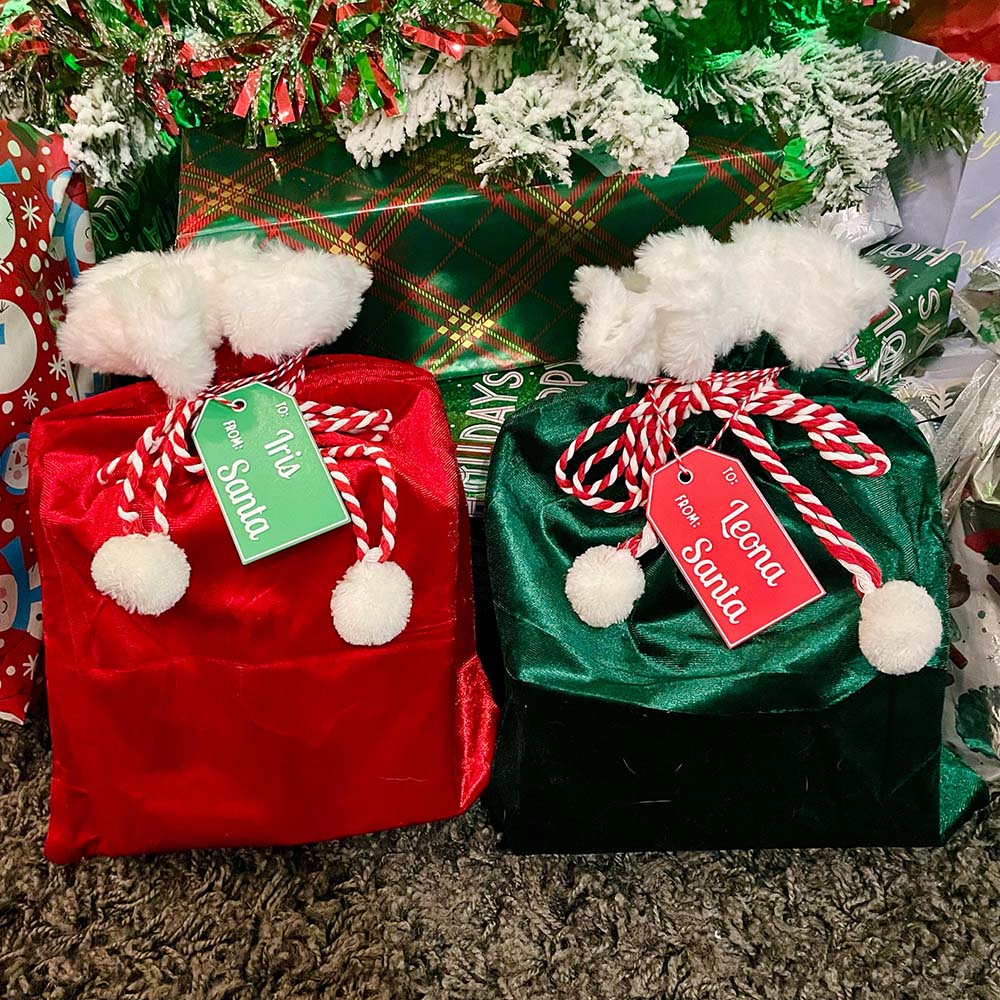 Personalized 3D Printed Christmas Santa Gift Tag | MCGift369