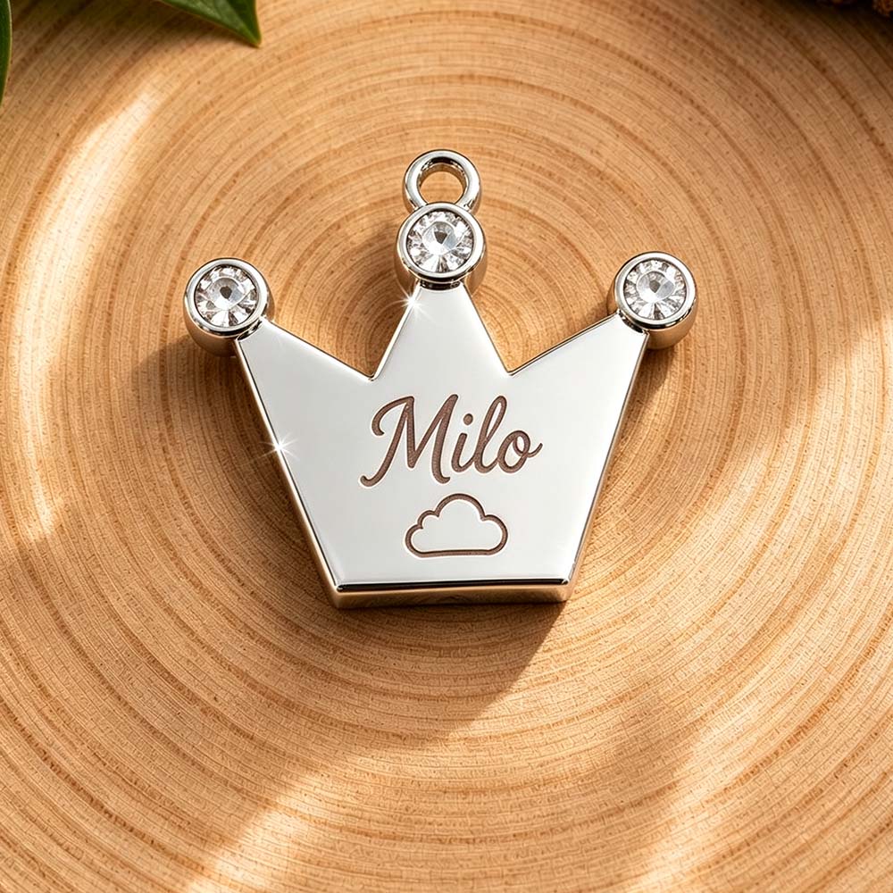 Personalized Rhinestone Crown Pet Collar ID Tag | BKPet585