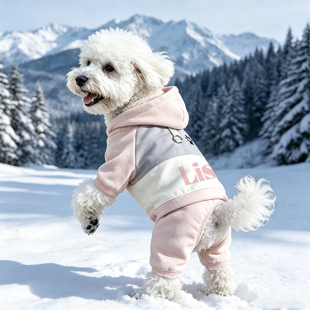 Personalized Winter Warm & Windproof Color-Blocked Cotton Coat For Pets | BKPet592