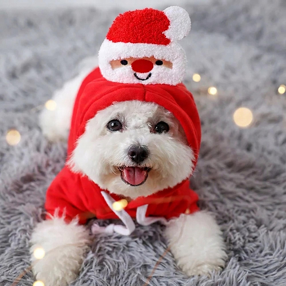 Personalized Embroidered Lovely Pet Christmas Hoodie | MCGift431