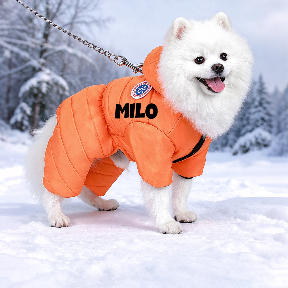 Personalized Pet Winter Warm Windproof Puffer Jacket | BKPet609