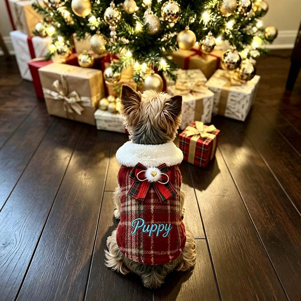 Personalized Embroidered Christmas Dog Vest with Faux Fur Collar | BKPet613