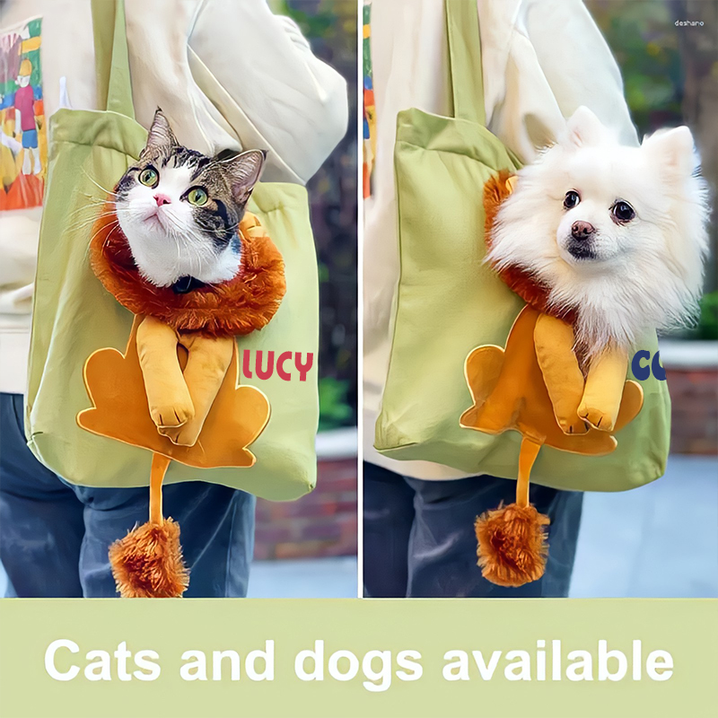 Personalized Lion Design Portable Breathable Cute Pet Carriers | BKPet60